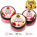 Lip Balm Combo Pack Of 3 - Strawberry + Rose Honey + Beetroot Tint